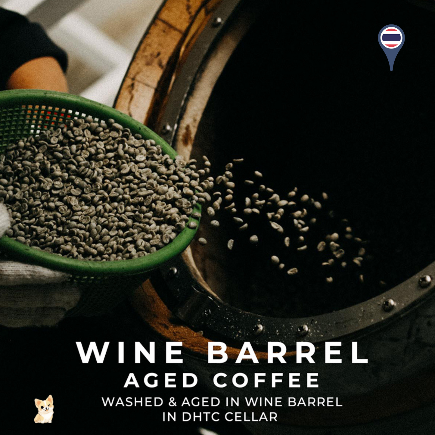 Doi Chaang Coffee Sweet Wine Barrel Aged - Medium-Light Roasted (250g)