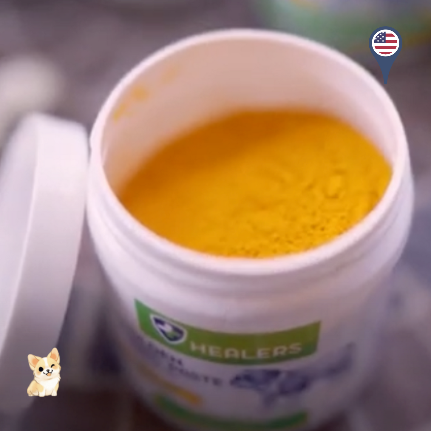Healers Petcare Golden Turmeric Paste (3.5oz)