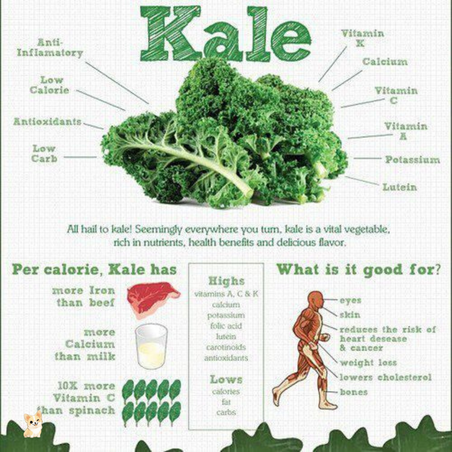 Royal Project Kale Powder (90g)
