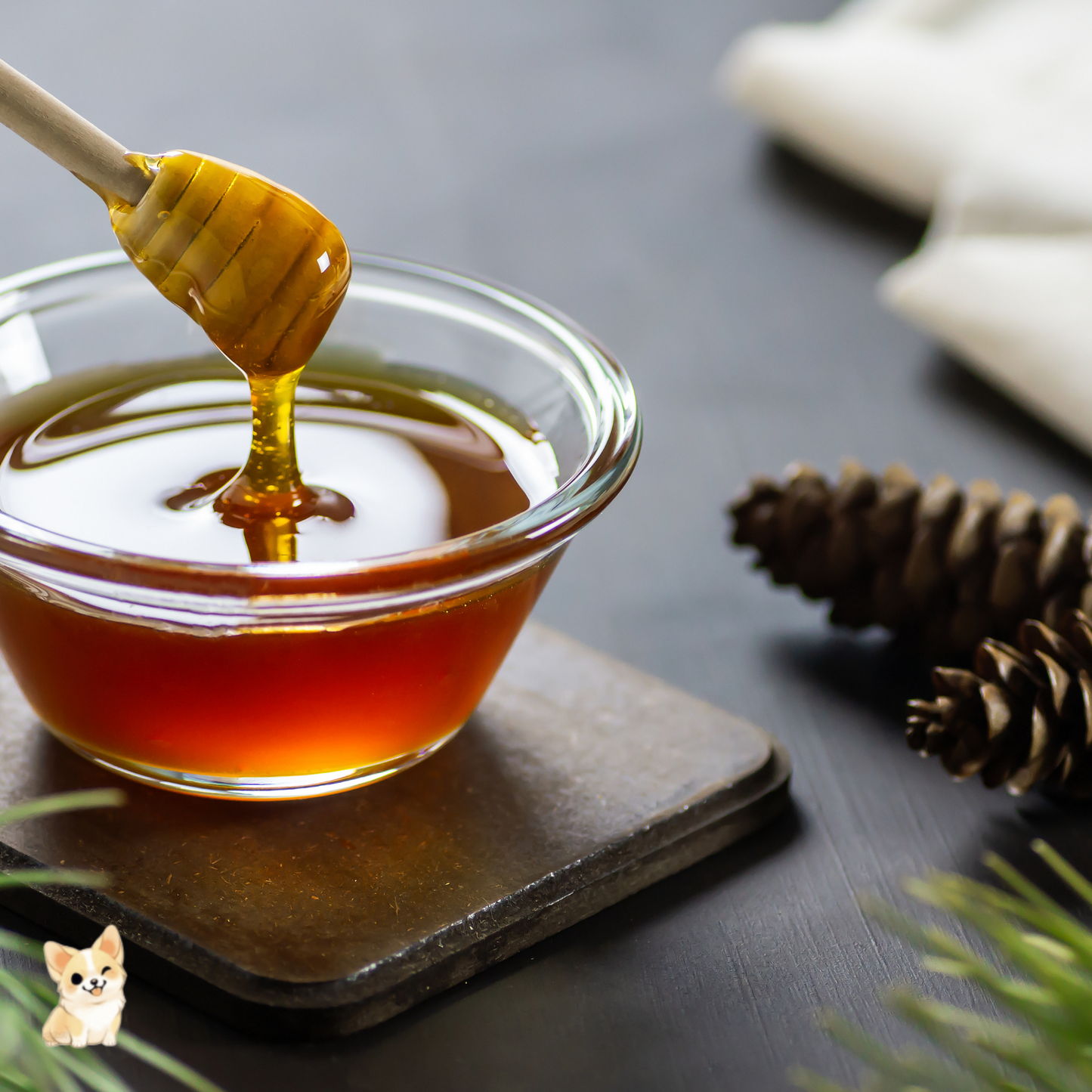 NIRRA Forest Honey (250g)